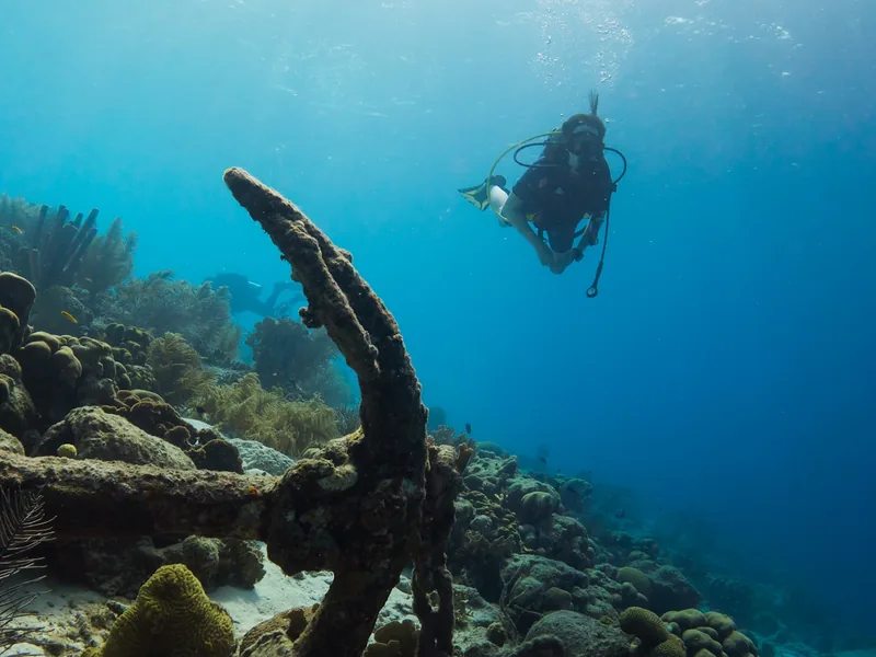 Nurek nad rafą koralową, Bonaire