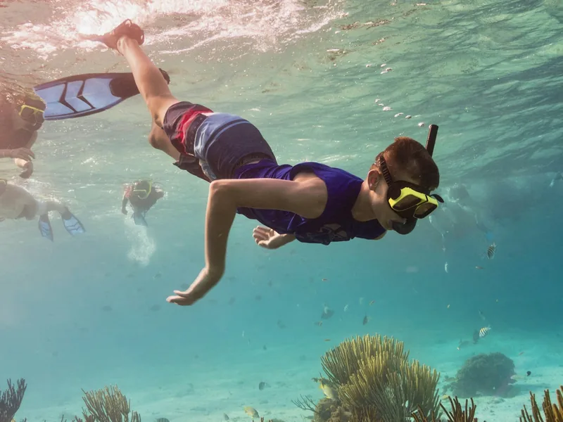 Snorkeling nad rafą, Grand Cayman, Kajmany
