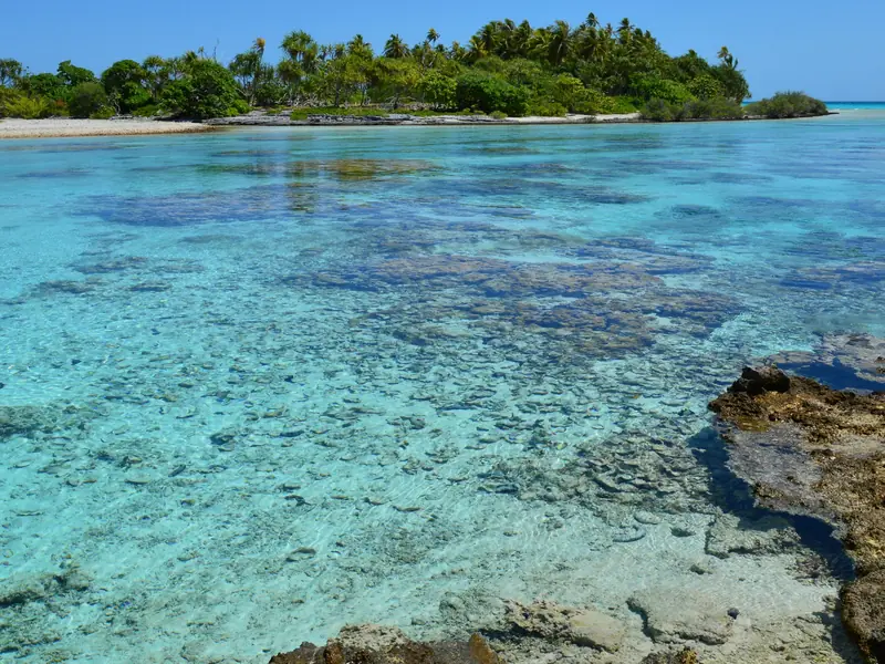Płytka turkusowa laguna atolu i porośnięte palmami motu, Rangiroa, zdjęcie poglądowe