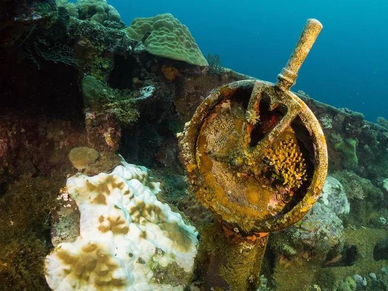Zarośnięty koralem telegraf maszynowy na wraku Fujikawa Maru w lagunie Truk, Mikronezja - zdjęcie poglądowe
