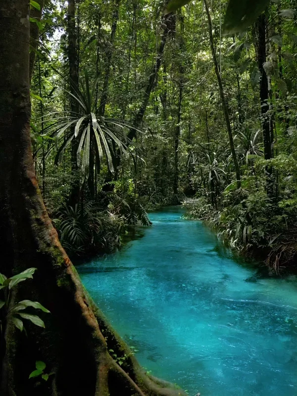 Raja Ampat