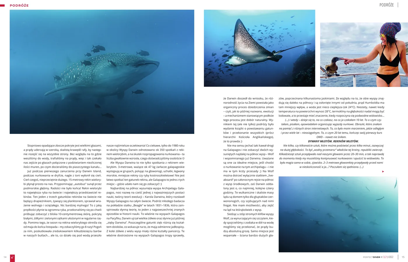 Galapagos - republika zwierząt, część 2: strona 2 z 5