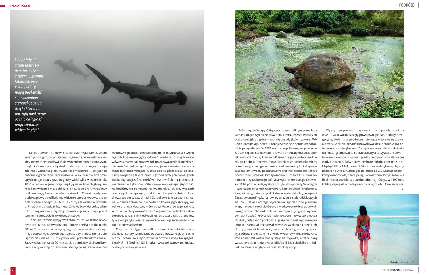 Galapagos - republika zwierząt, część 2: strona 3 z 5