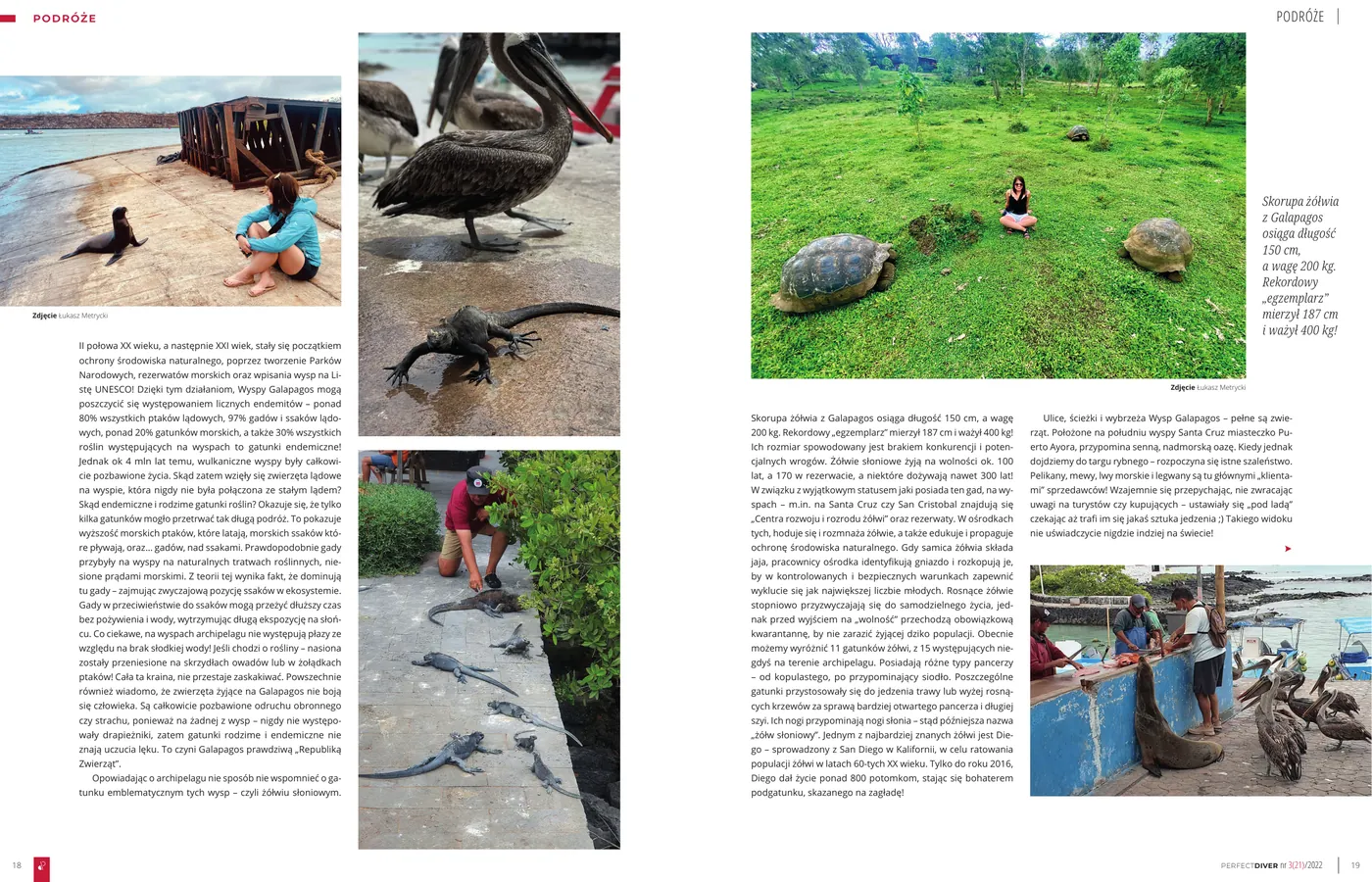 Galapagos - republika zwierząt, część 2: strona 4 z 5