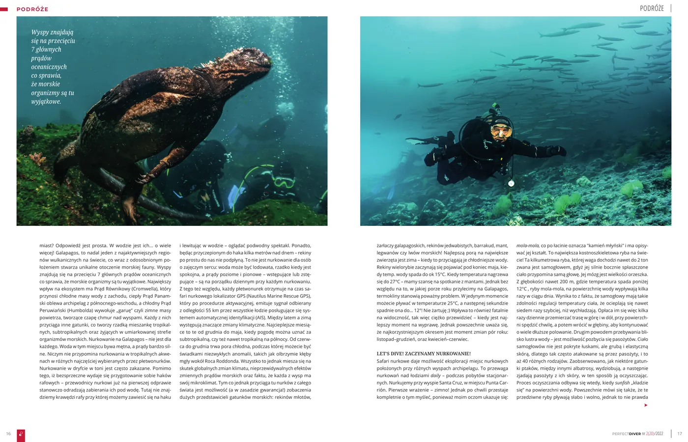 Galapagos - republika zwierząt: strona 3 z 5