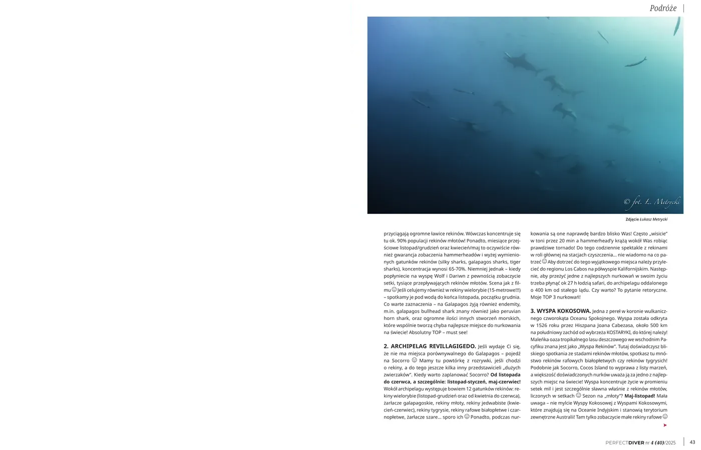 Pierwsza strona artykułu "Gdzie zanurkować z rekinami? Sharks calendar" w Perfect Diver nr 4(40)/2025