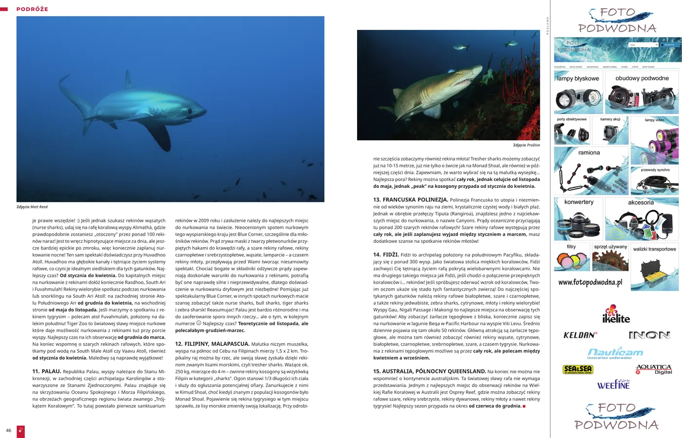 Gdzie zanurkować z rekinami? Sharks calendar: strona 3 z 3