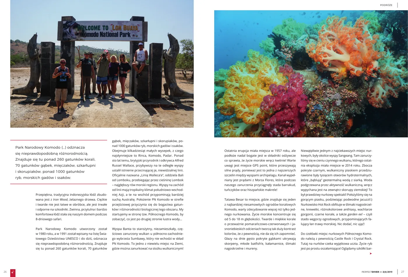 Komodo - nurkowanie na styku dwóch oceanów: strona 3 z 6