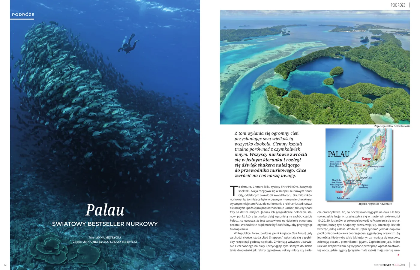 Pierwsza strona artykułu "Palau - światowy bestseller nurkowy (powrót)" w Perfect Diver nr 3(33)/2024