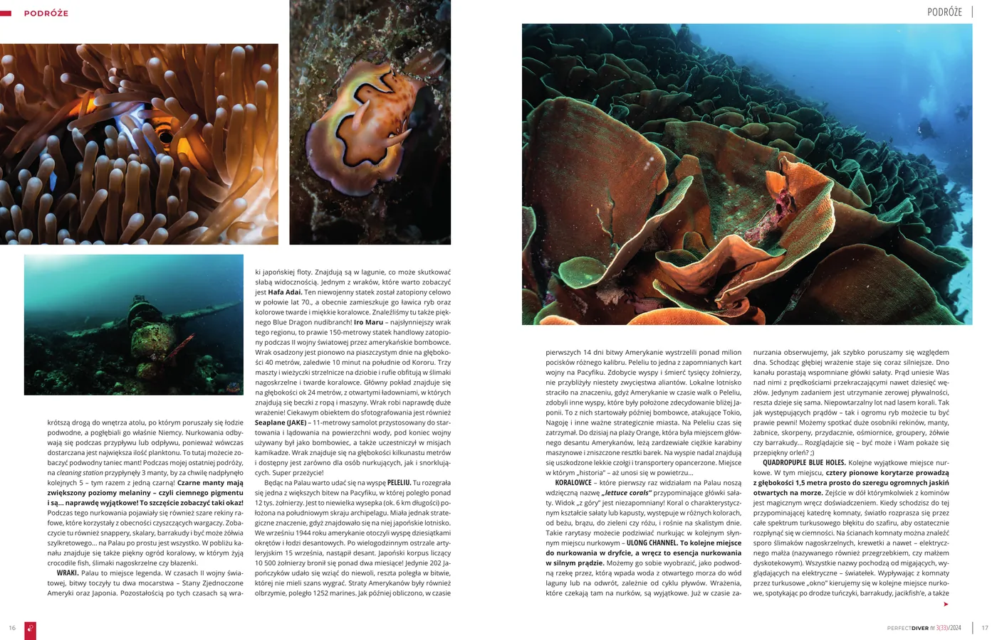 Palau - światowy bestseller nurkowy (powrót): strona 3 z 5