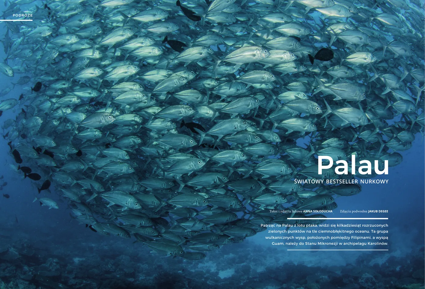 Pierwsza strona artykułu "Palau - światowy bestseller nurkowy" w Perfect Diver nr 2/2018