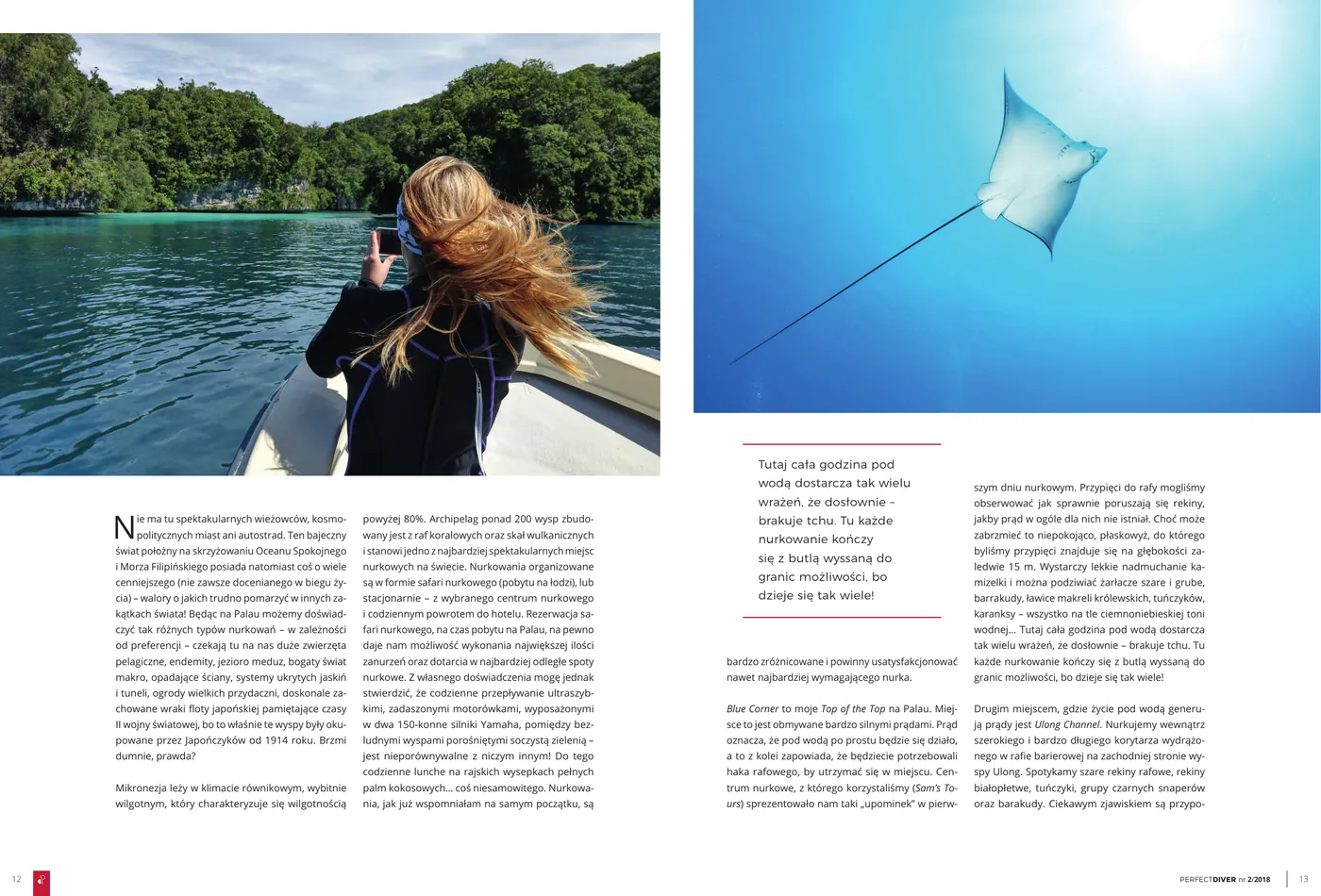 Palau - światowy bestseller nurkowy: strona 2 z 6