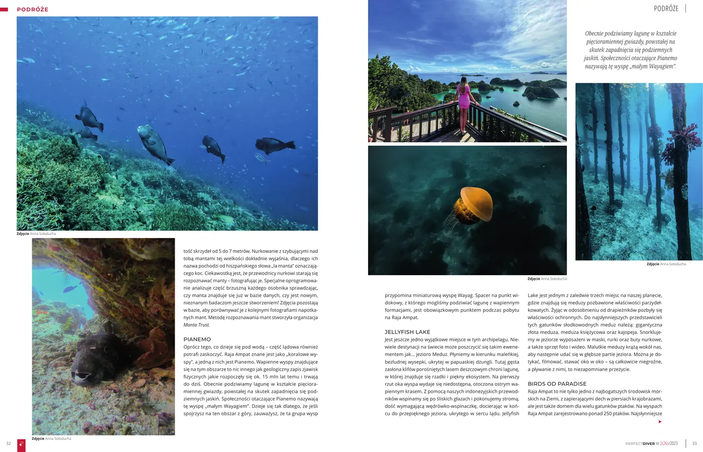 Raja Ampat - niezwykłe podwodne spotkania: strona 3 z 4