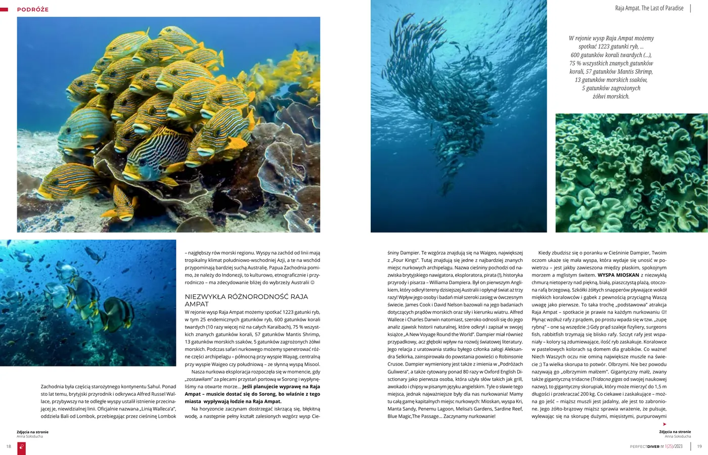 Raja Ampat - The Last of Paradise: strona 2 z 4