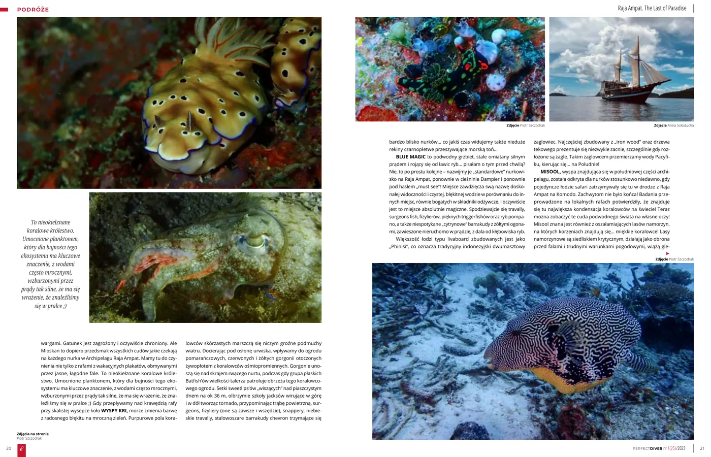 Raja Ampat - The Last of Paradise: strona 3 z 4