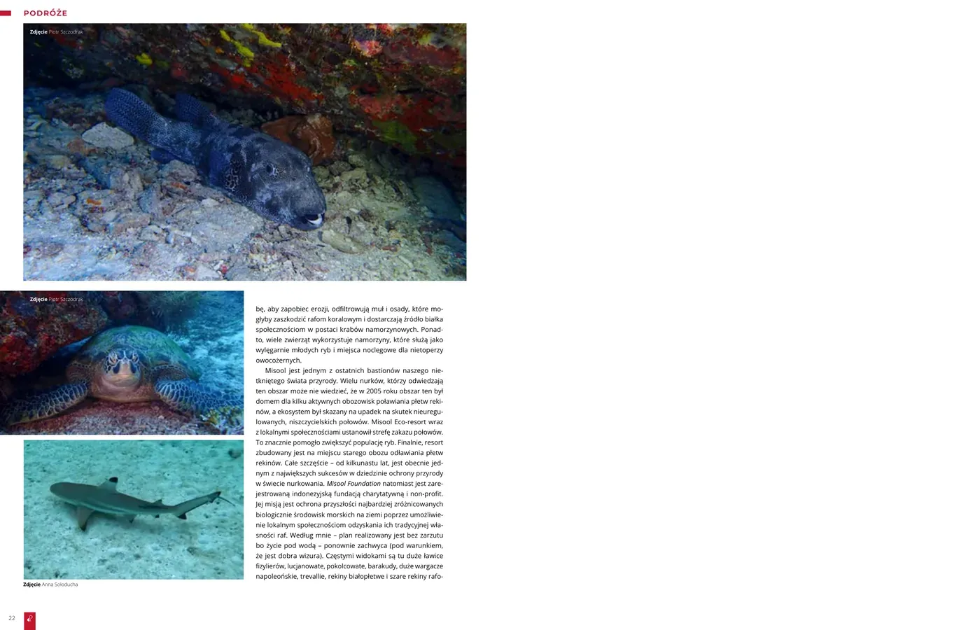 Raja Ampat - The Last of Paradise: strona 4 z 4