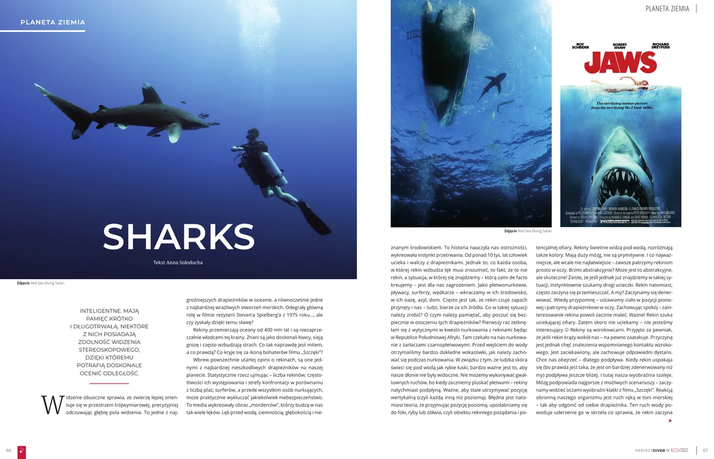 Pierwsza strona artykułu "Sharks - po co nurkujemy z rekinami" w Perfect Diver nr 4(22)/2022