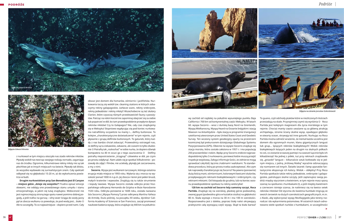 Archipelag Revillagigedo, czyli meksykańskie Galapagos: strona 3 z 4