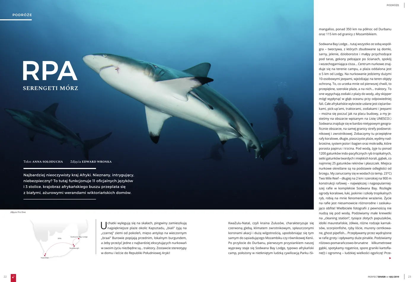 Pierwsza strona artykułu "RPA - serengeti mórz" w Perfect Diver nr 4(6)/2019